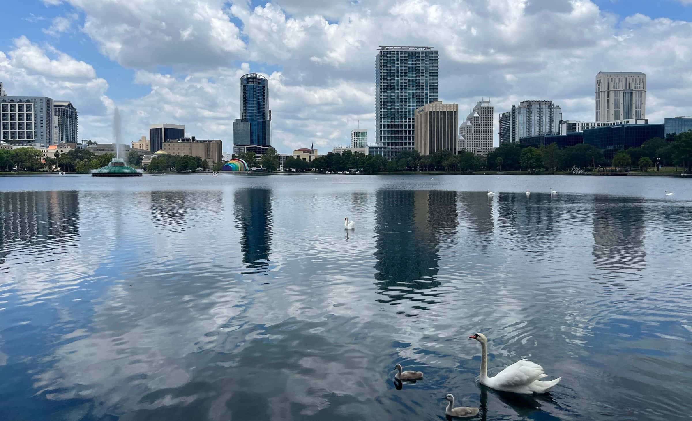 Downtown Orlando’s skyline reflected in Lake Eola on a bright afternoon, with a swan in the foreground