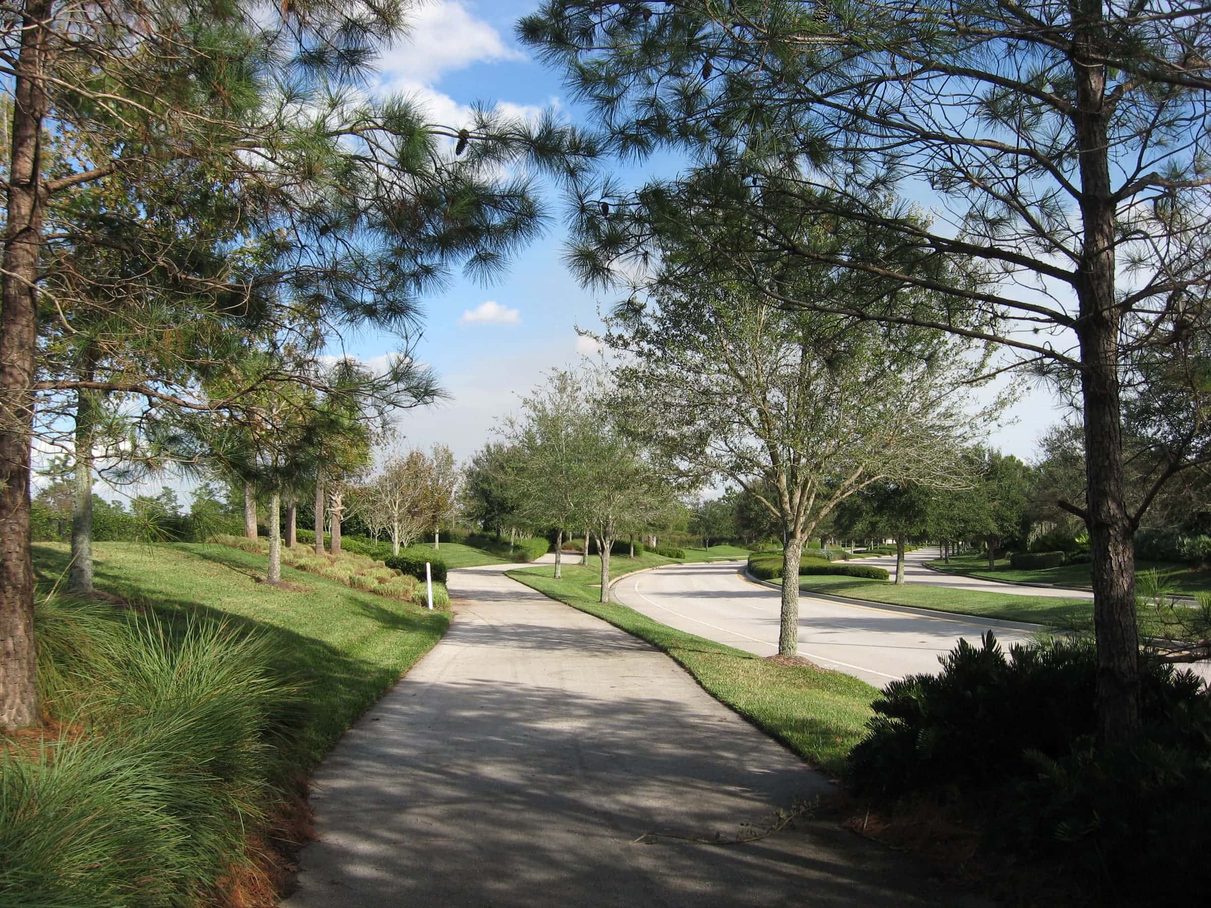 A tree-lined multi-use trail curving through Lake Nona